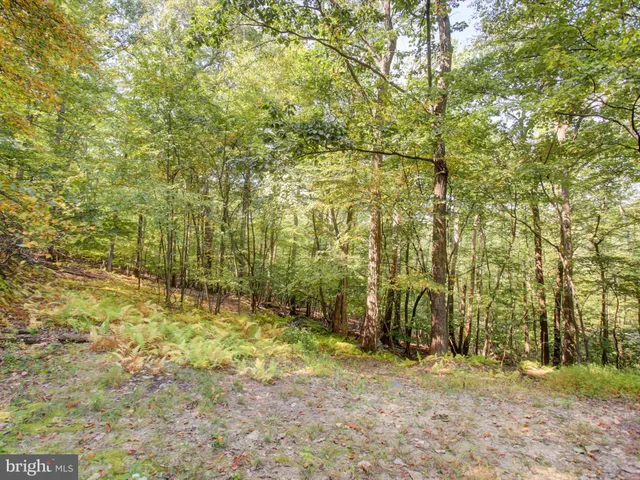 a view of outdoor space and a yard