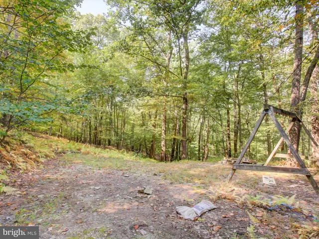 a view of open space with a trees