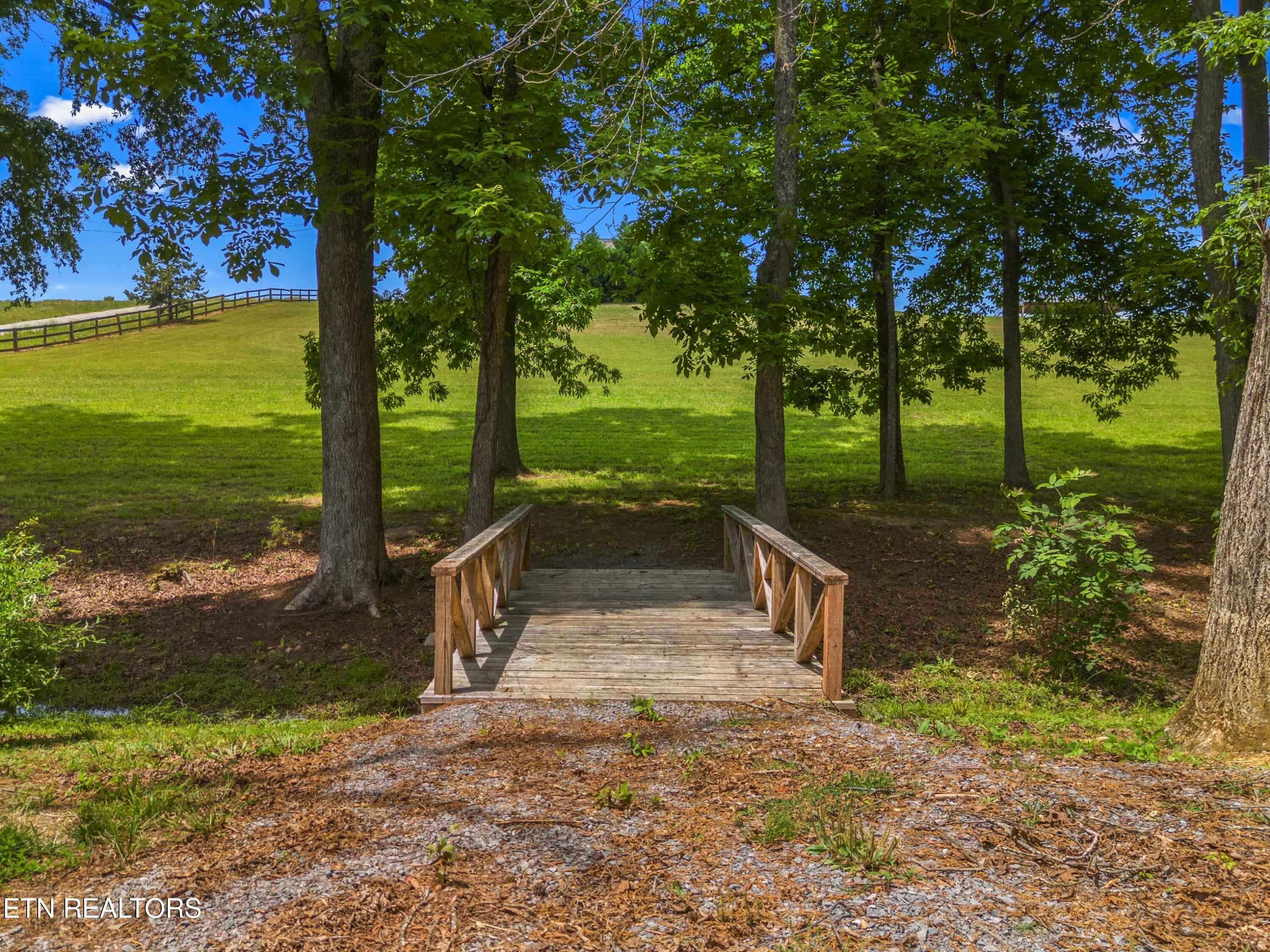 860 Harrison Ferry Road Baneberry, TN 37890 - Photo 19 of 60 048-860HarrisonFerryRoad-Baneberry-TN-37