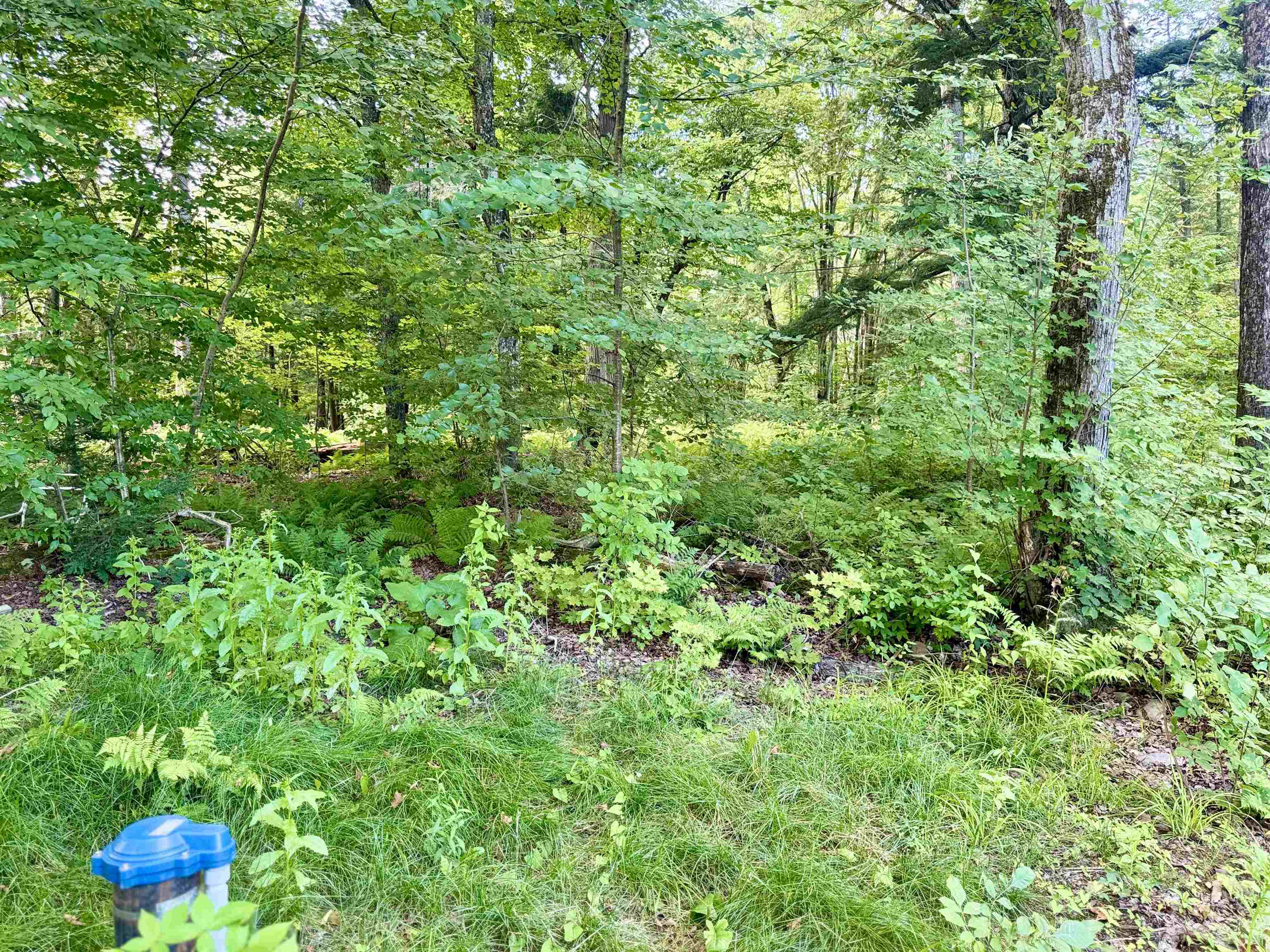 145 Shore Road Franklin, VT 05457 - Photo 43 of 48 Gallery Image 43