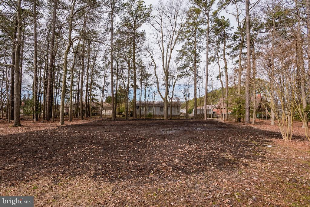 37143 Clubhouse Road Ocean View, DE 19970 - Photo 11 of 64 Gallery Image 11