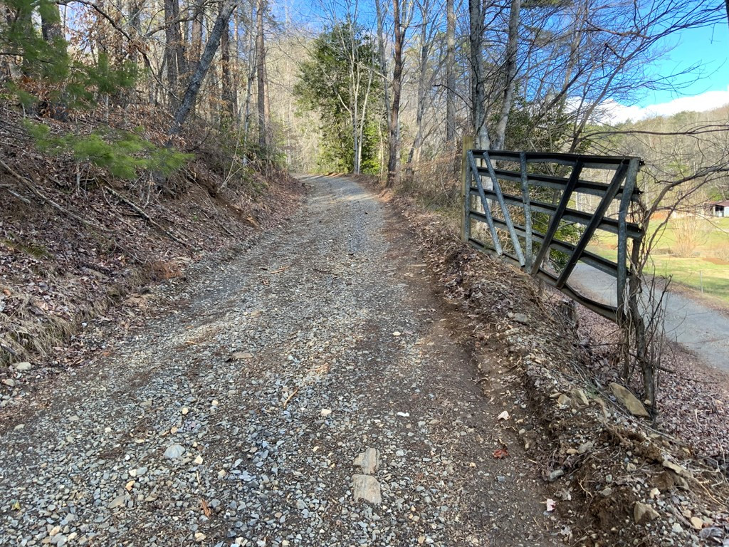 Lot 16 Ivy Log Road Warne, NC 28909 - Photo 15 of 16