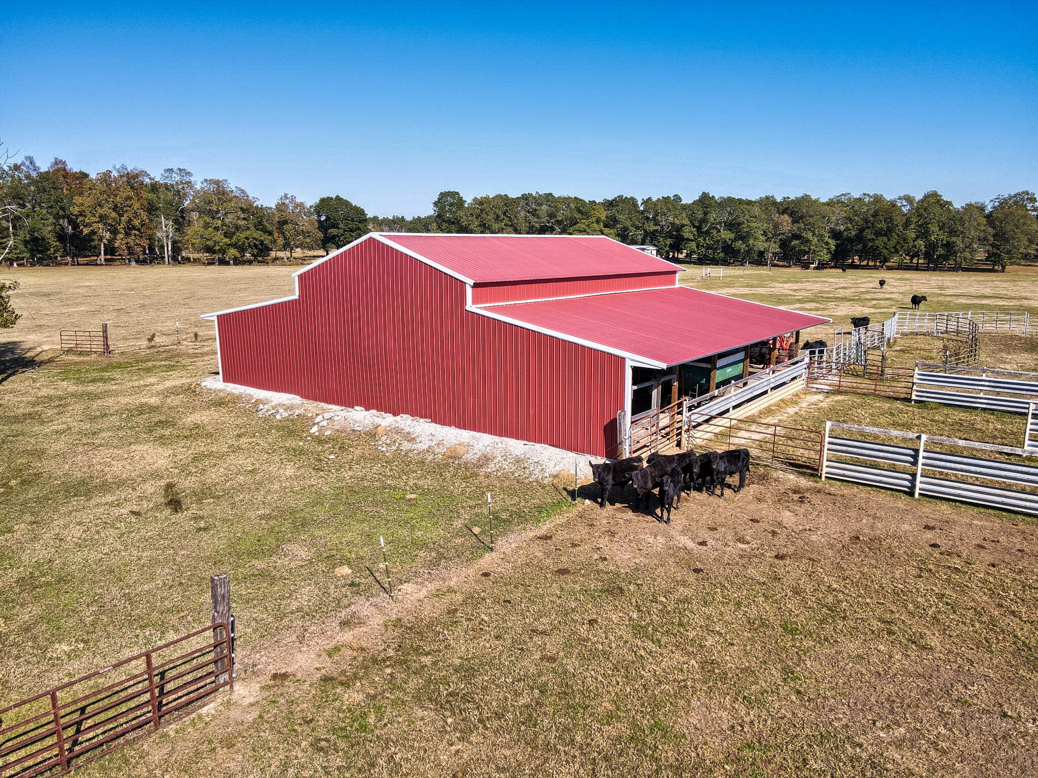826 Binnicker Bridge Road Cope, SC 29038 - Photo 6 of 19