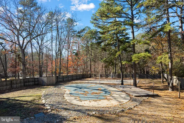 a view of a yard with trees