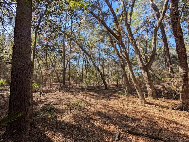 a view of a yard with trees