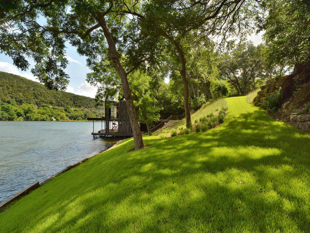 a view of a park with large trees