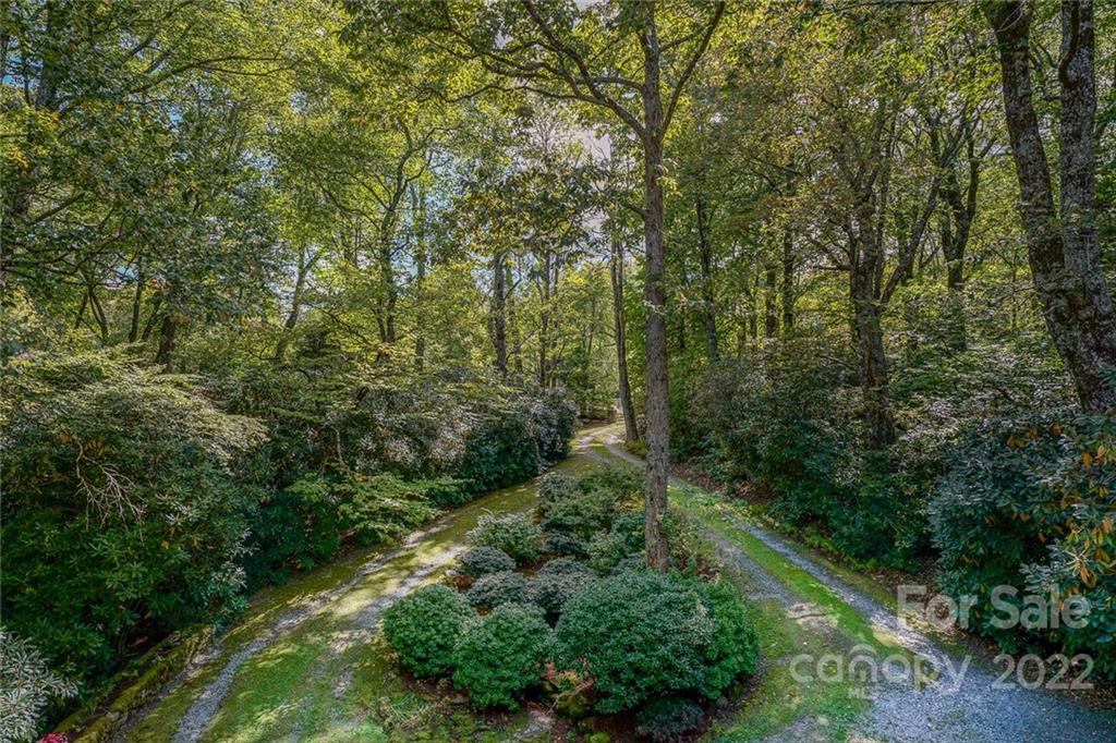 353 Blueberry Lane Boone, NC 28607 - Photo 6 of 34 Gallery Image 6