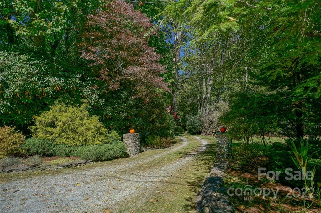 353 Blueberry Lane Boone, NC 28607 - Photo 8 of 34 Gallery Image 8