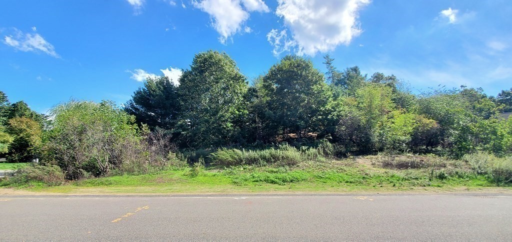 1 Homestead Drive Canton, MA 02021 - Photo 17 of 21 a view of outdoor space and yard