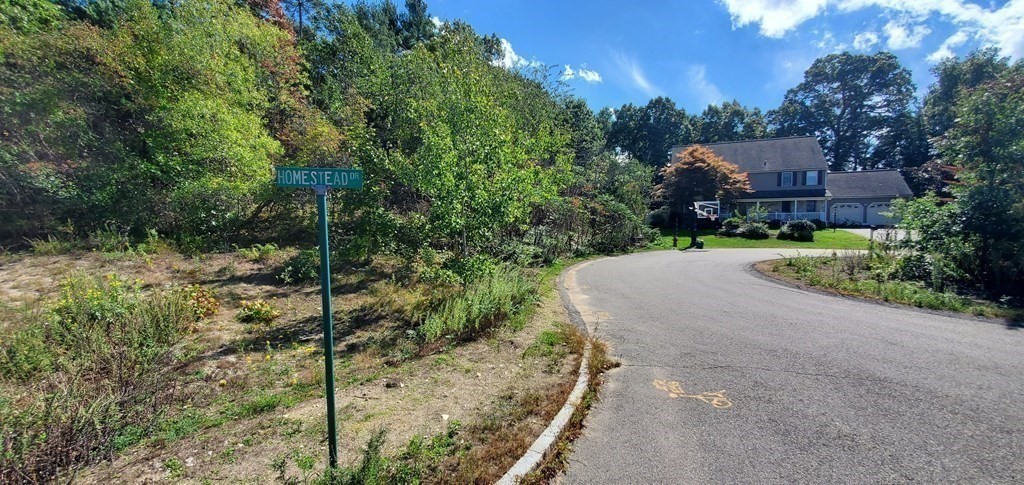 1 Homestead Drive Canton, MA 02021 - Photo 20 of 21 a view of a house with a small yard and large tree