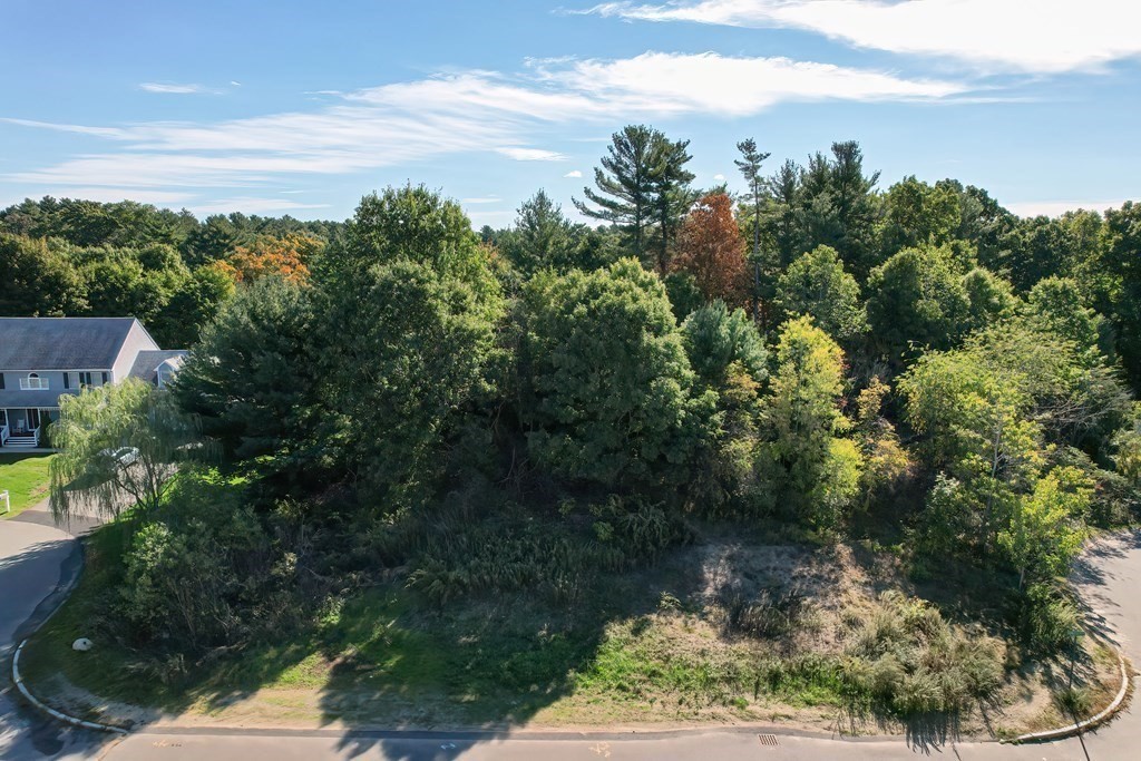1 Homestead Drive Canton, MA 02021 - Photo 4 of 21 a view of a yard