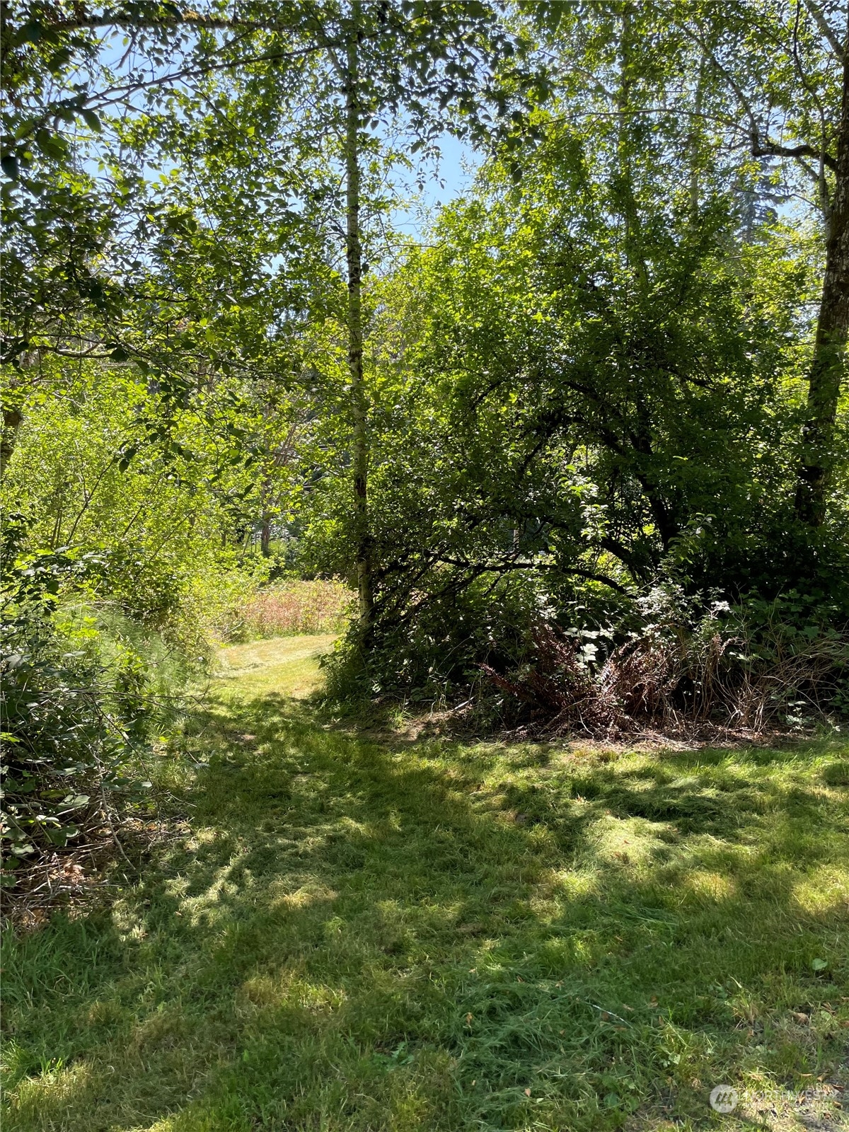 3751 East Grapeview Loop Road Grapeview, WA 98546 - Photo 11 of 13