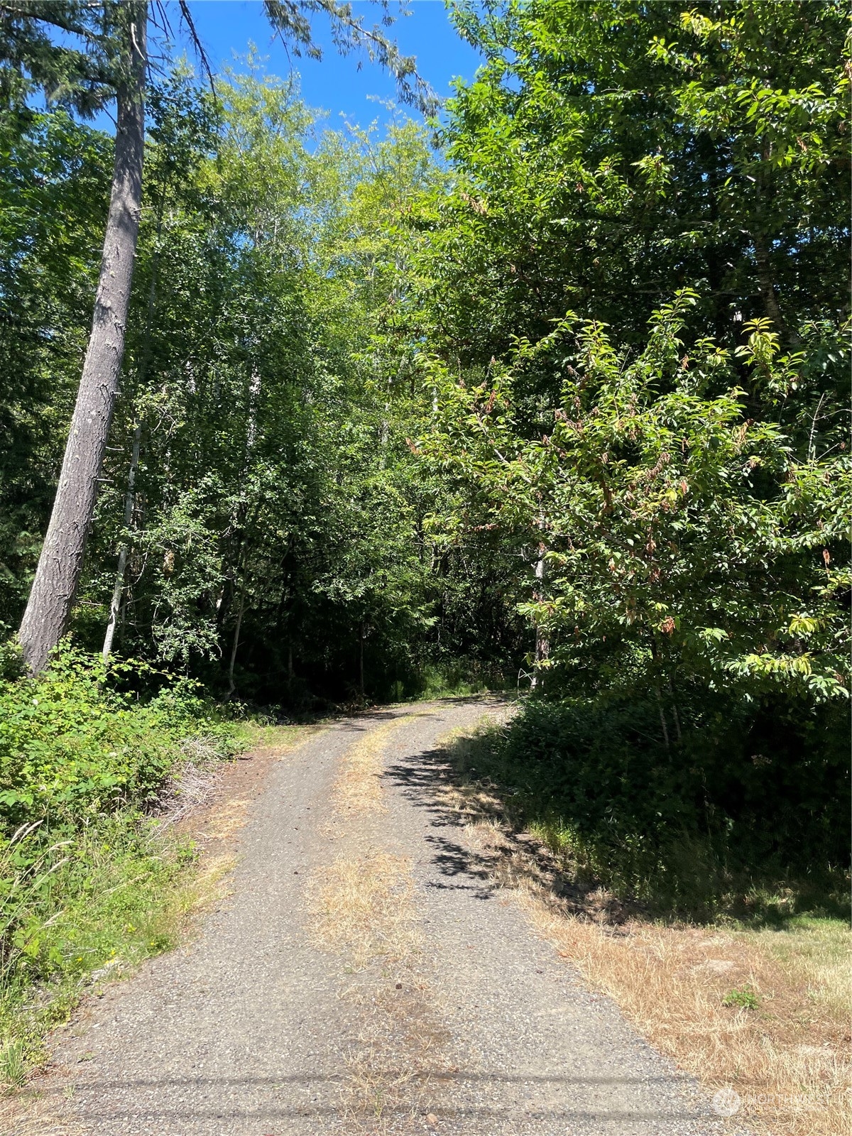 3751 East Grapeview Loop Road Grapeview, WA 98546 - Photo 12 of 13