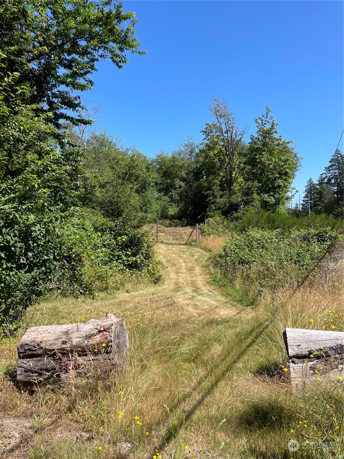 3751 East Grapeview Loop Road Grapeview, WA 98546 - Photo 13 of 13