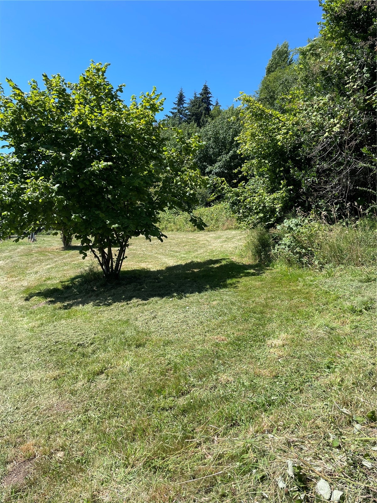 3751 East Grapeview Loop Road Grapeview, WA 98546 - Photo 2 of 13