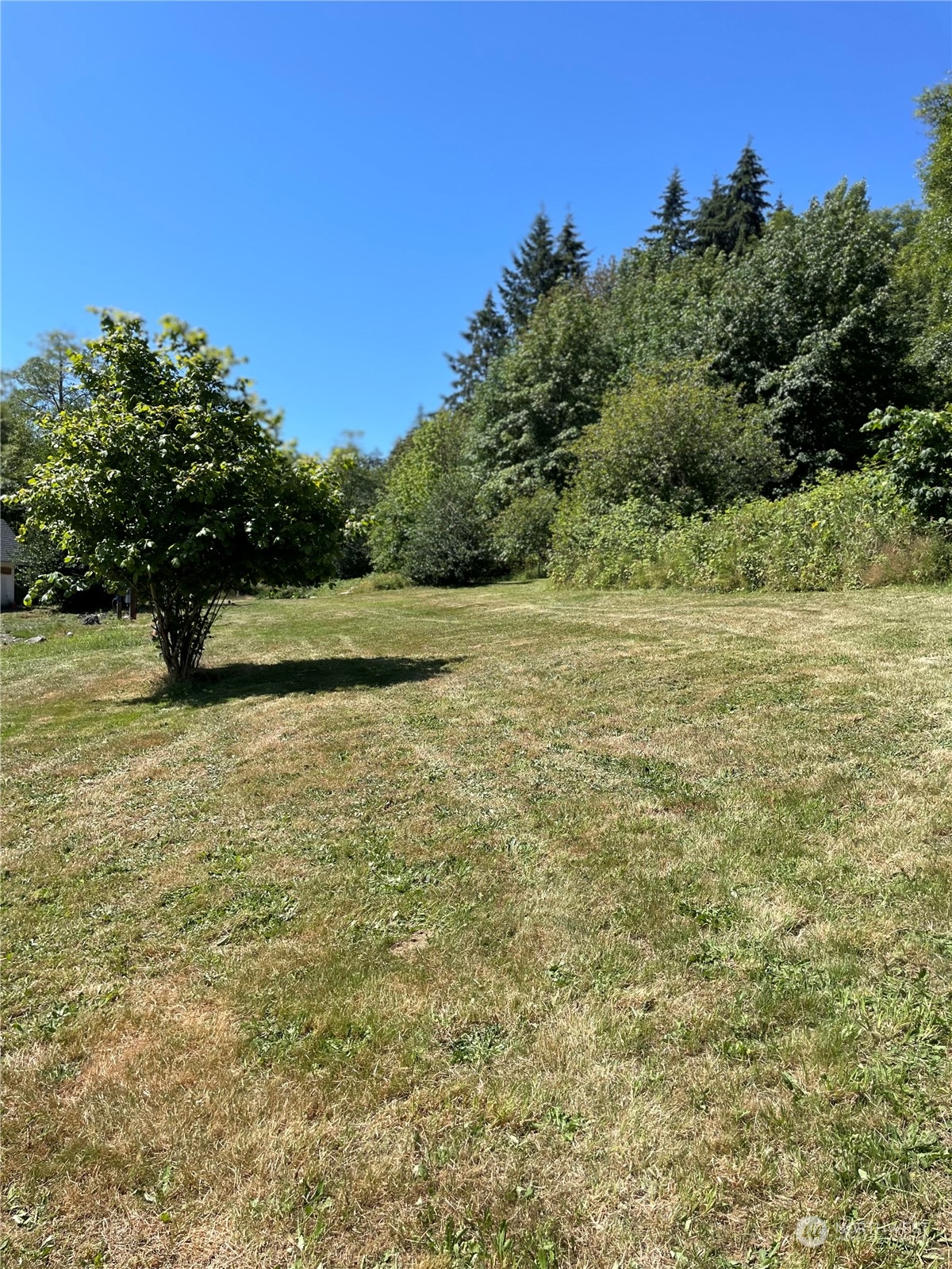 3751 East Grapeview Loop Road Grapeview, WA 98546 - Photo 3 of 13