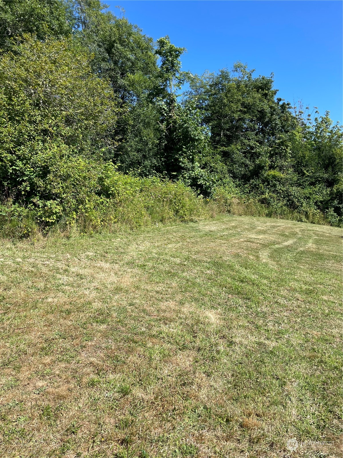 3751 East Grapeview Loop Road Grapeview, WA 98546 - Photo 7 of 13