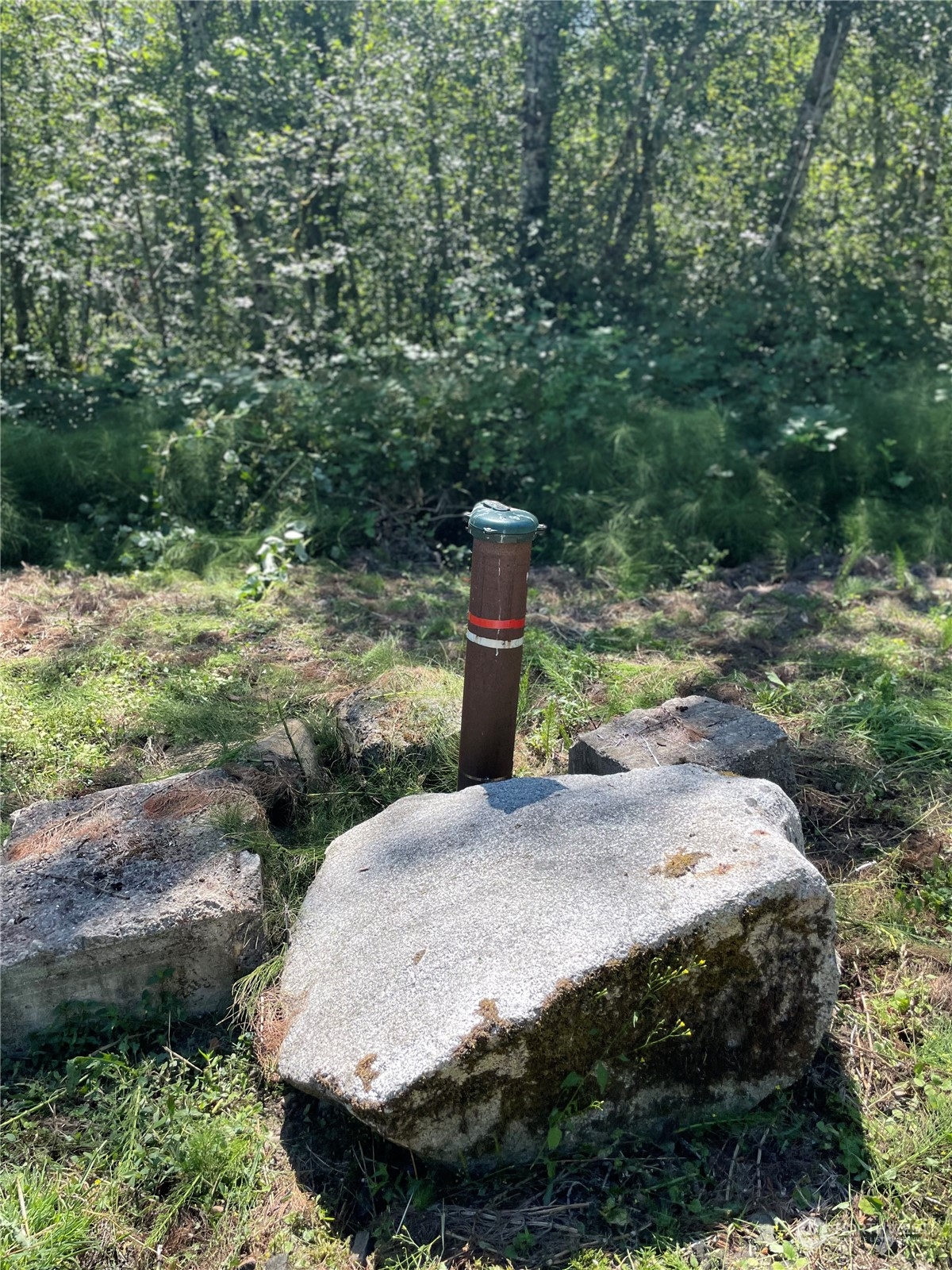 3751 East Grapeview Loop Road Grapeview, WA 98546 - Photo 8 of 13