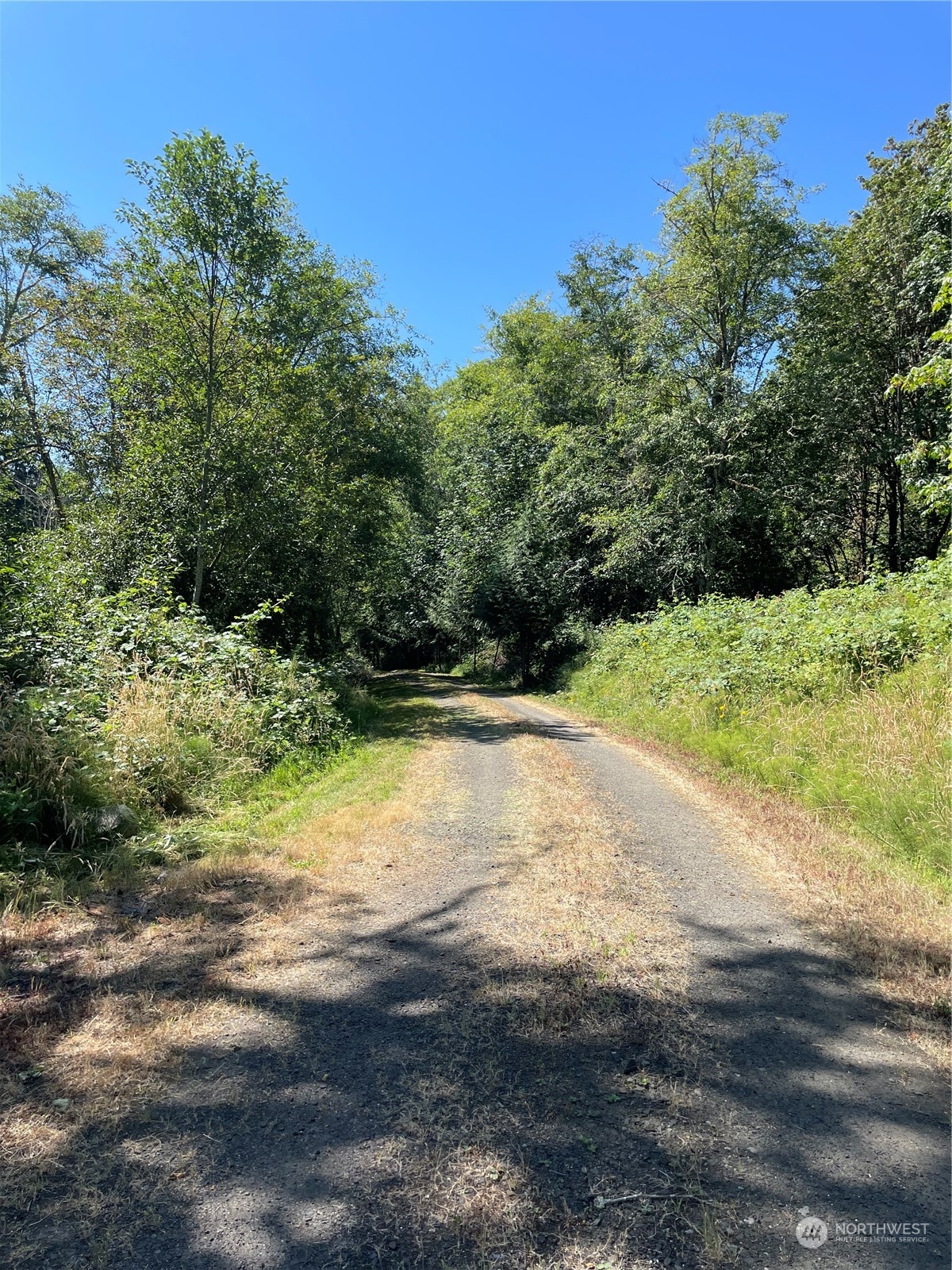 3751 East Grapeview Loop Road Grapeview, WA 98546 - Photo 10 of 13