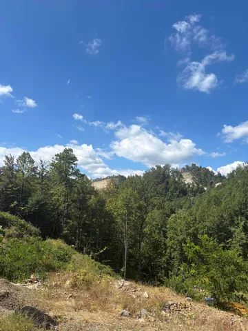 $199,800 | 0 Jeb Stuart Hwy Meadows, Meadows Of Dan, VA 24120