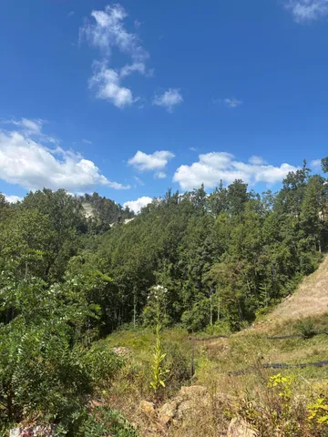 $199,800 | 0 Jeb Stuart Hwy Meadows, Meadows Of Dan, VA 24120