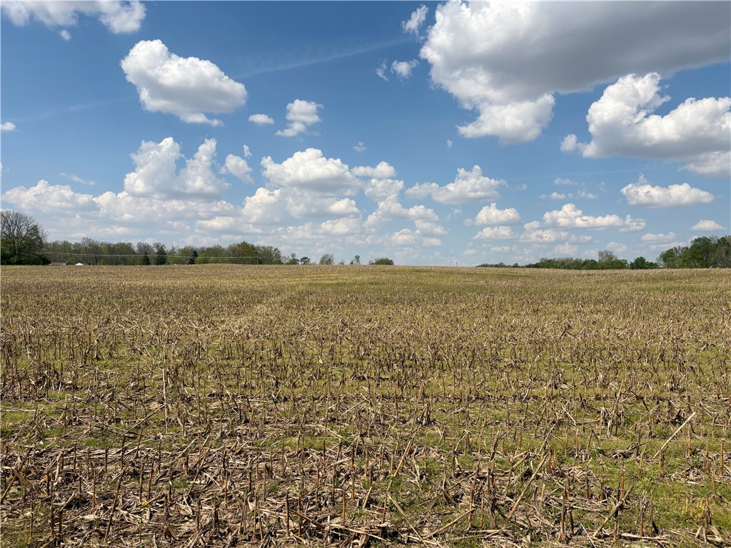 Lot 2 Tipp Elizabeth Road New Carlisle, OH 45344 - Photo 13 of 14