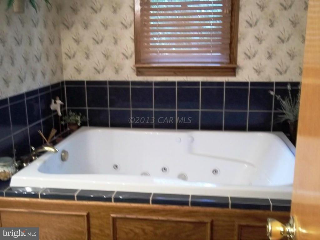 33393 Bob Smith Road Parsonsburg, MD 21849 - Photo 17 of 38