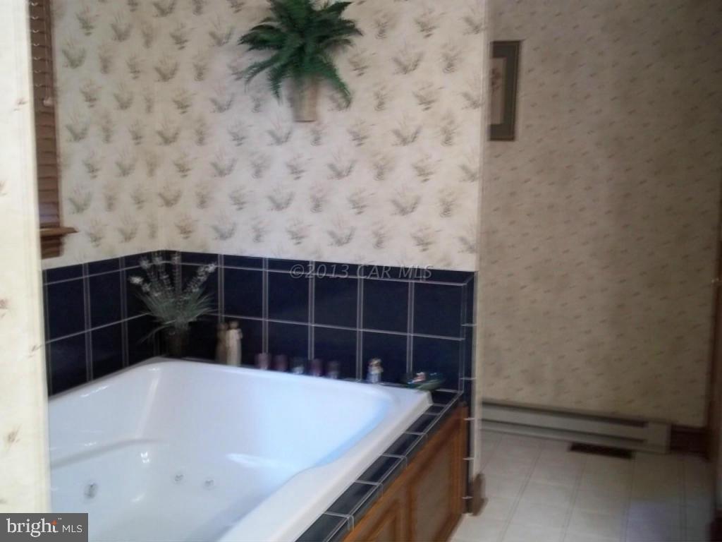 33393 Bob Smith Road Parsonsburg, MD 21849 - Photo 18 of 38
