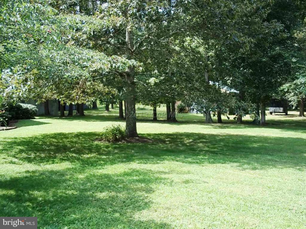 33393 Bob Smith Road Parsonsburg, MD 21849 - Photo 4 of 38