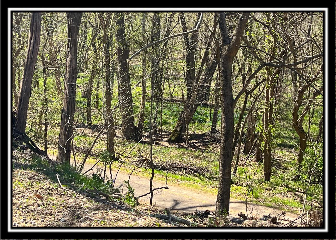 0 North Musselman Station Road Frankfort, OH 45628 - Photo 6 of 51 CT-3