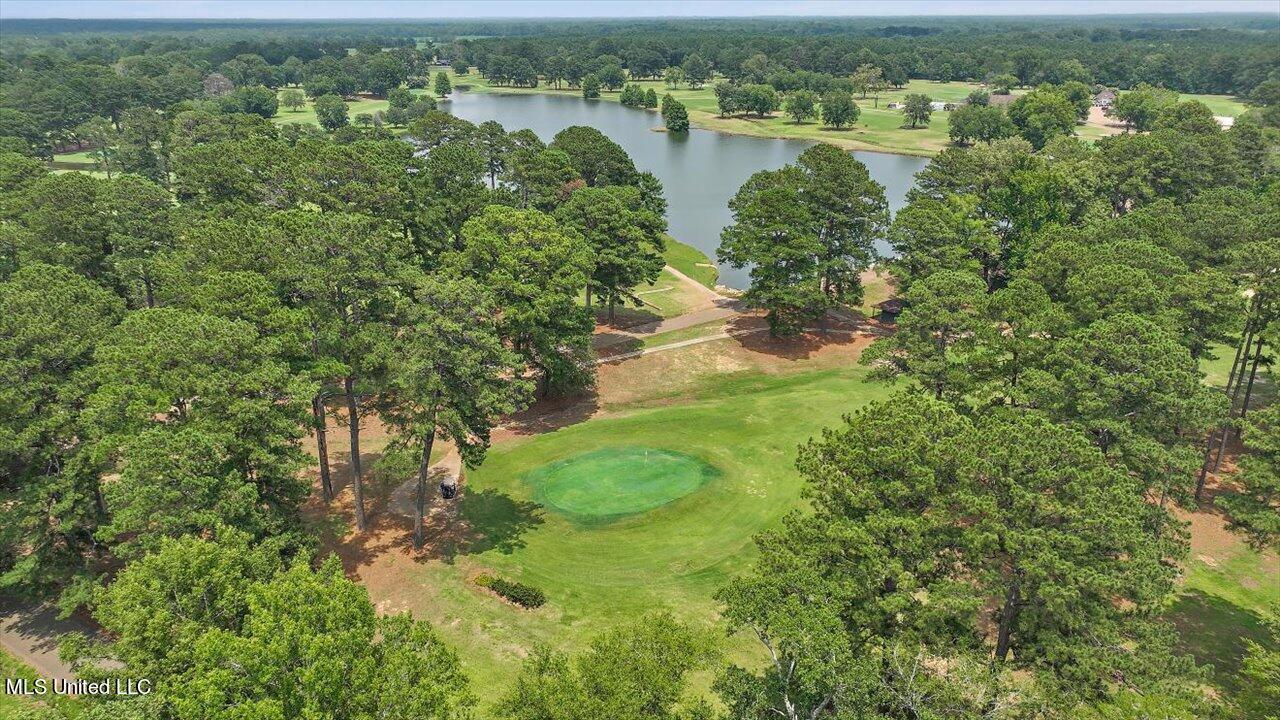 332 Country Club Road Canton, MS 39046 - Photo 94 of 100 095-332 Country Club Rd