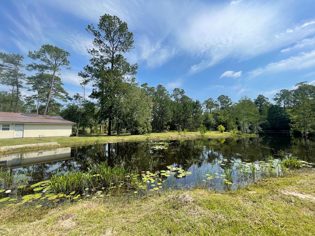 3100 Massee Post Road Adel, GA 31620 - Photo 43 of 47 Gallery Image 43