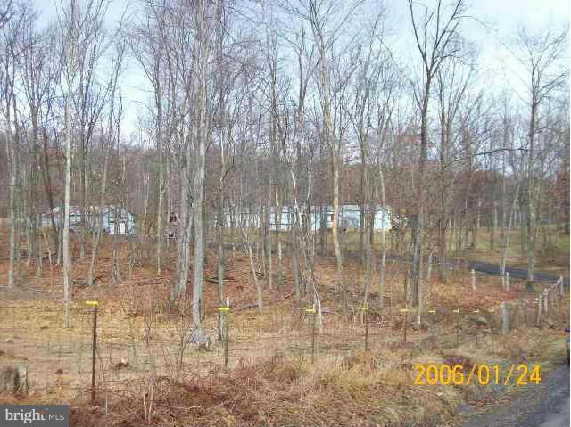 467 Sleepywoods Road Cross Junction, VA 22625 - Photo 6 of 26 Exterior (General)