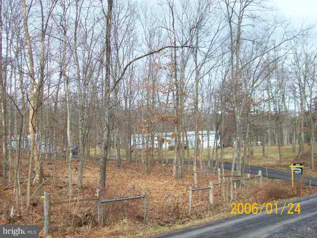 467 Sleepywoods Road Cross Junction, VA 22625 - Photo 7 of 26 Exterior (General)
