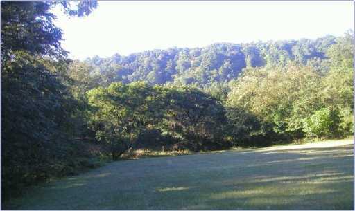 1003 Old Noblestown Road Carnegie, PA 15106 - Photo 2 of 6 Gallery Image 2