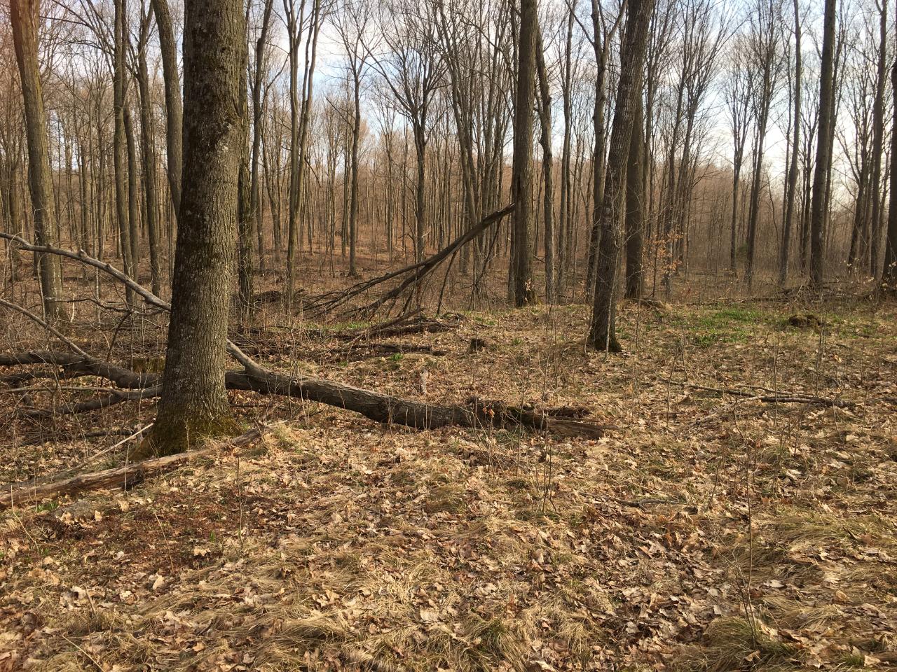 N3919 Hill Road Antigo, WI 54409 - Photo 22 of 34
