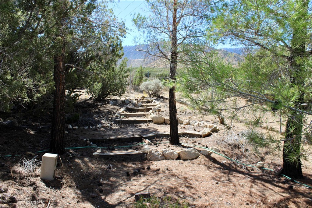 945 Nielson Road Pinon Hills, CA 92372 - Photo 39 of 51 Gallery Image 39
