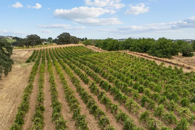 a view of a lake with houses