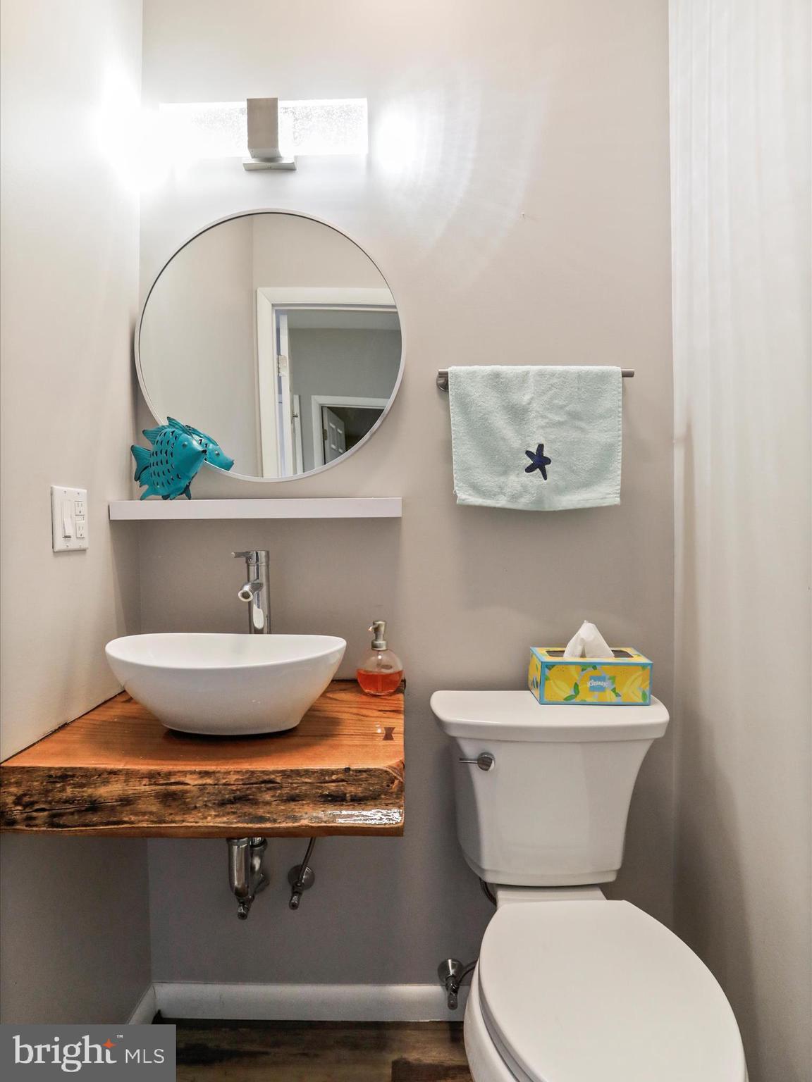 468 Pritts Road Swanton, MD 21561 - Photo 24 of 58 a bathroom with a toilet a sink and a mirror