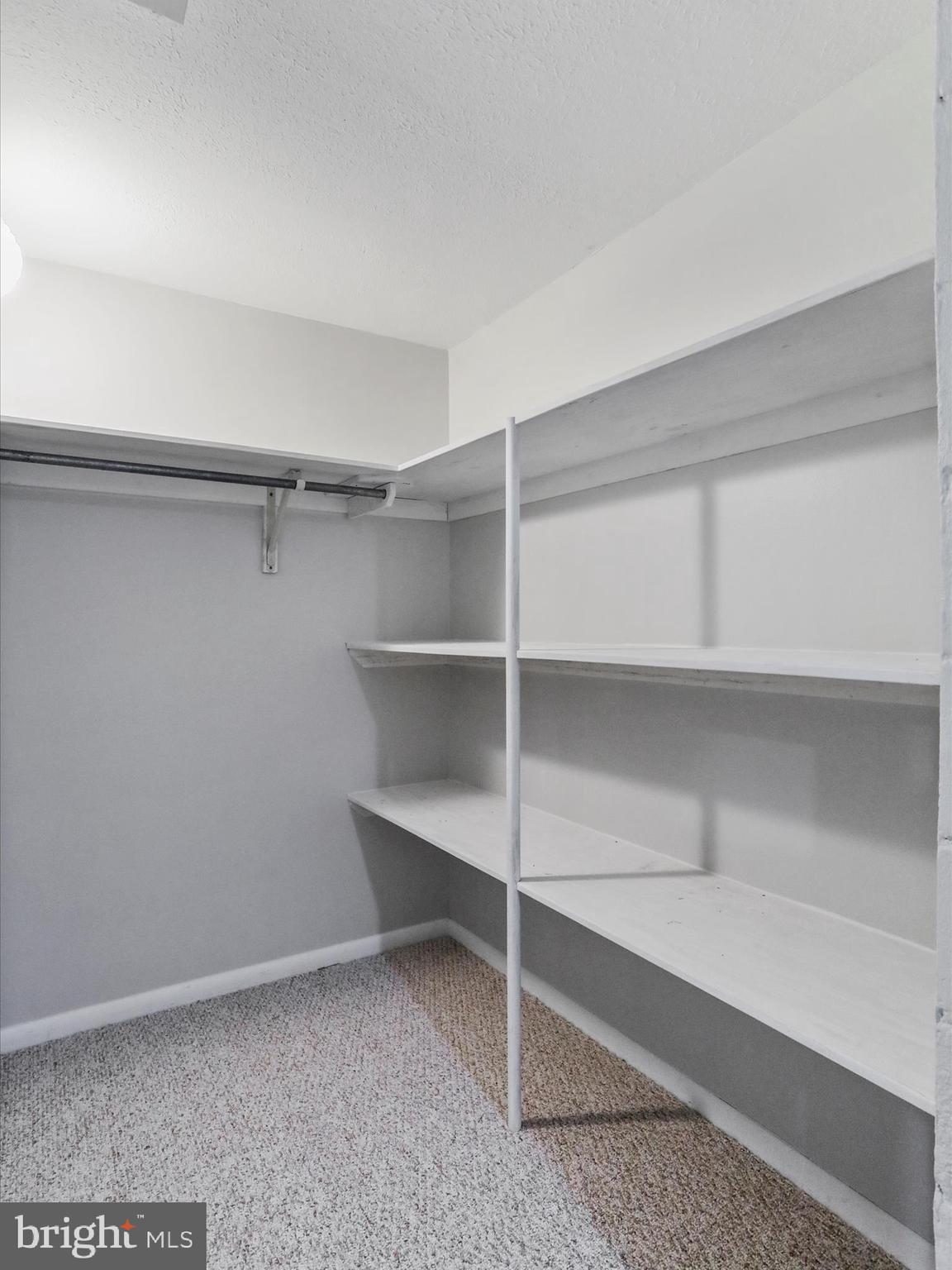 468 Pritts Road Swanton, MD 21561 - Photo 34 of 58 a view of an empty walk in closet