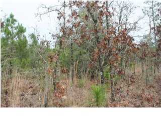 Lot 2 Girl Scout Road DeFuniak Springs, FL 32433 - Photo 1 of 1 Primary Photo