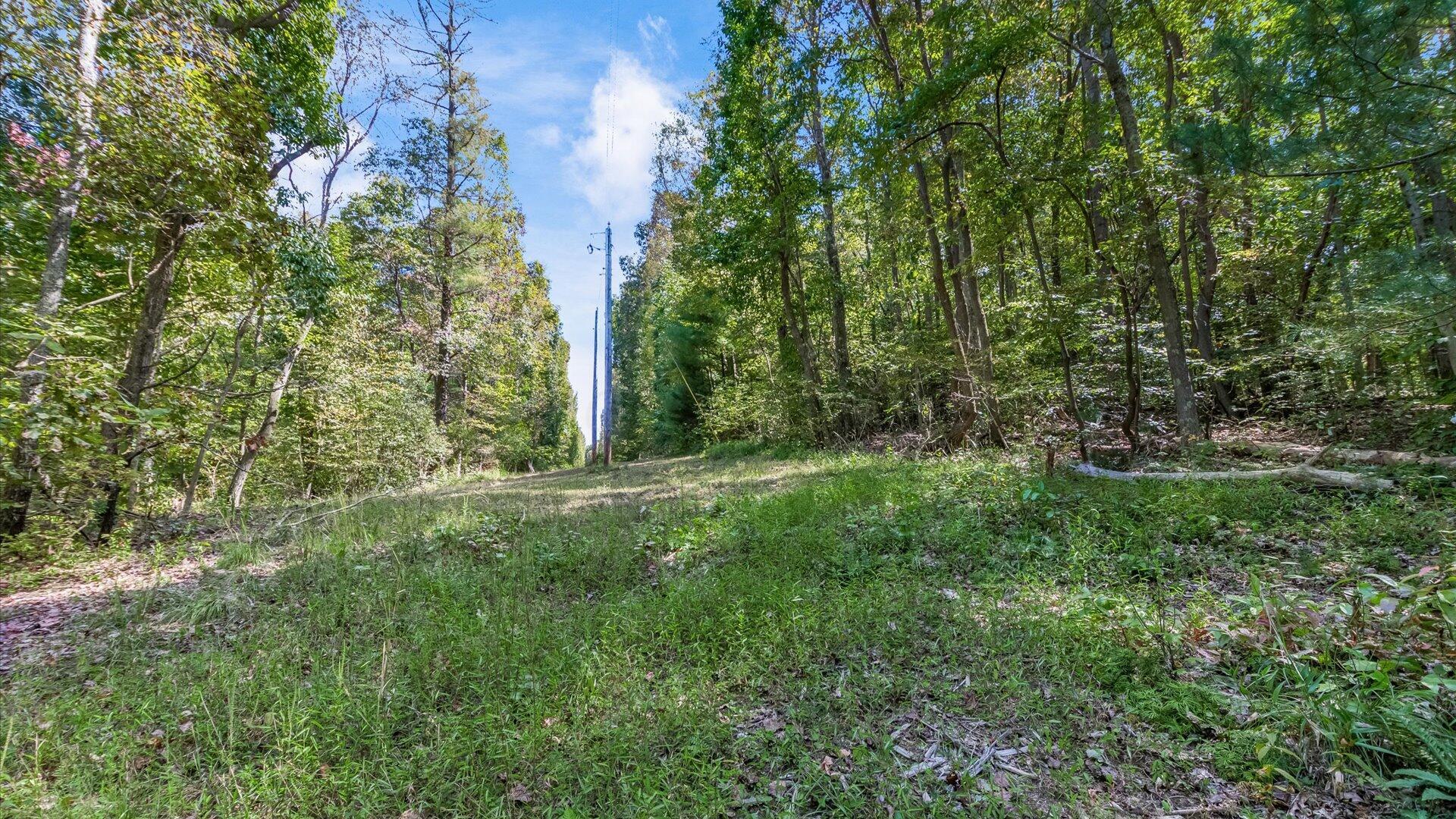 05-zj Paradise Rd.005-2