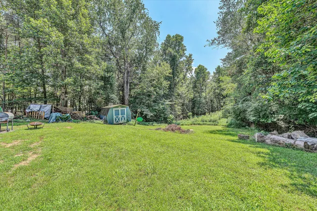 a backyard of a house with trees and entertaining space