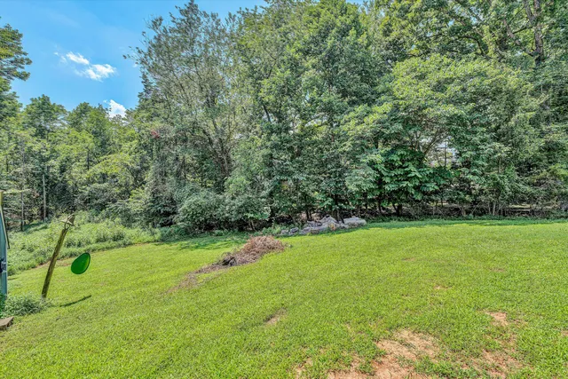a view of field with grass and trees