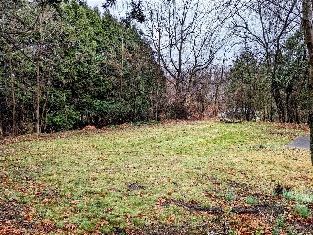 432 Raspberry Drive Monroeville, PA 15146 - Photo 39 of 39 a view of outdoor space with trees all around