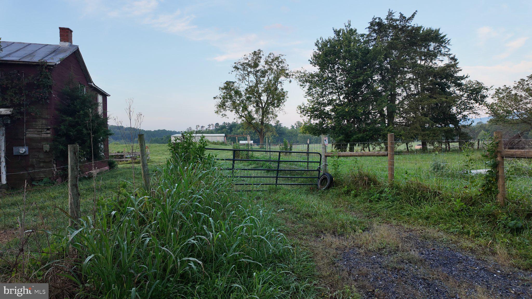 8849 Us Highway Rileyville, VA 22650 - Photo 81 of 110 Gallery Image 81