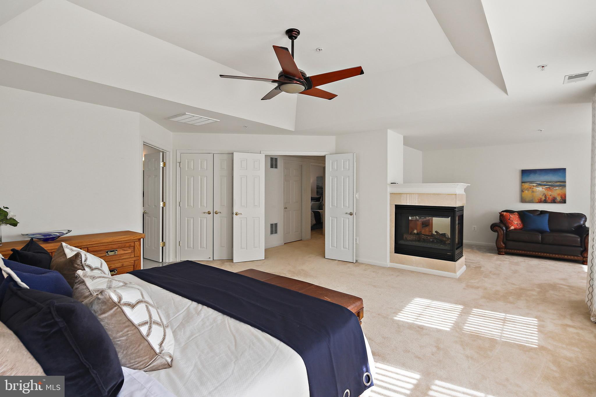 8034 High Castle Road Ellicott City, MD 21043 - Photo 19 of 40 Primary suite with gas FP and sitting room