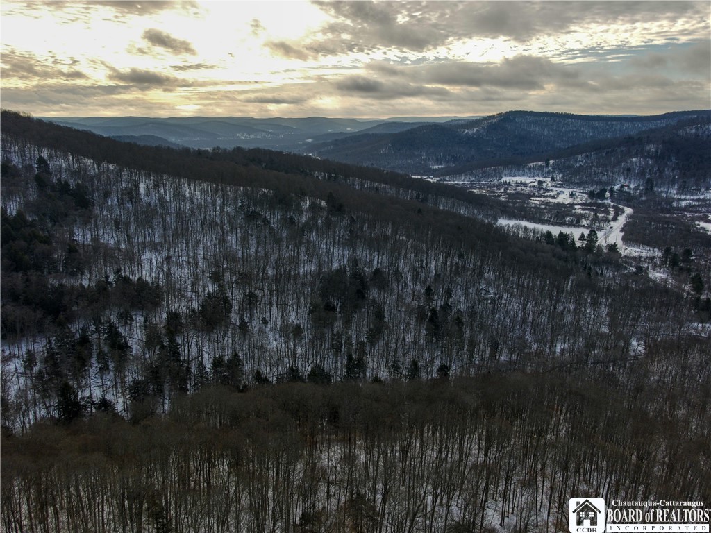 469 North Branch Road Eldred, PA 16731 - Photo 46 of 50