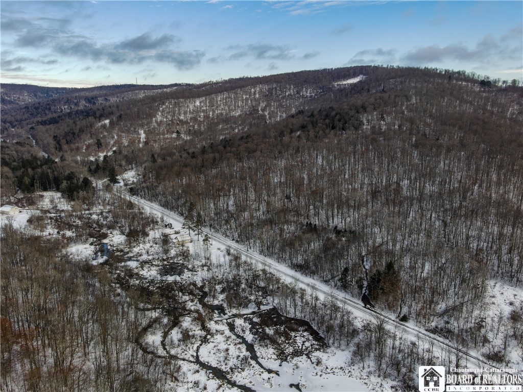 469 North Branch Road Eldred, PA 16731 - Photo 49 of 50