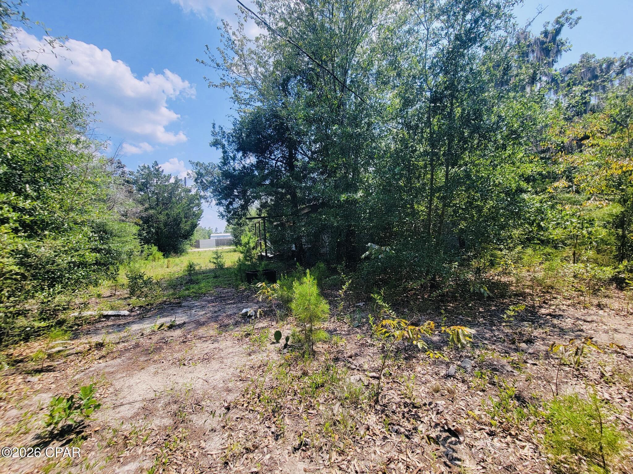 7157 Northwest Porter Grade Road Altha, FL 32421 - Photo 9 of 9 Gallery Image 9
